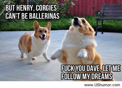 corgiballet